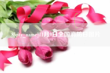 邵东11月9日全国消防日图片