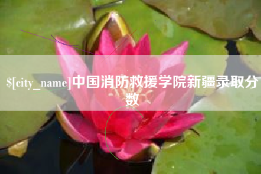 邵东中国消防救援学院新疆录取分数
