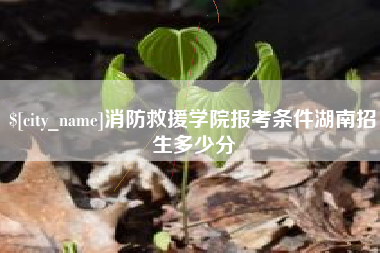 邵东消防救援学院报考条件湖南招生多少分