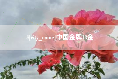 邵东中国金牌18金