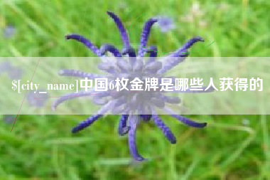邵东中国6枚金牌是哪些人获得的