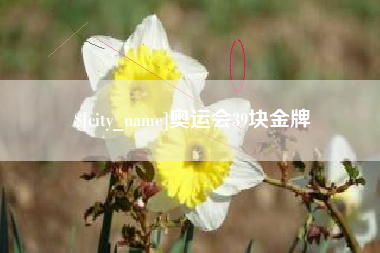 邵东奥运会39块金牌