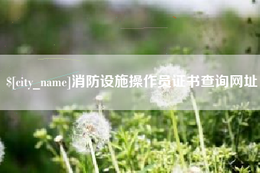 邵东消防设施操作员证书查询网址