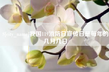 邵东我国119消防日宣传日是每年的几月几日