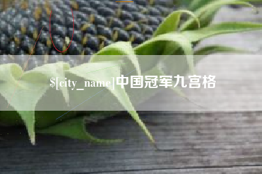 邵东中国冠军九宫格