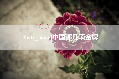 邵东中国哪几项金牌