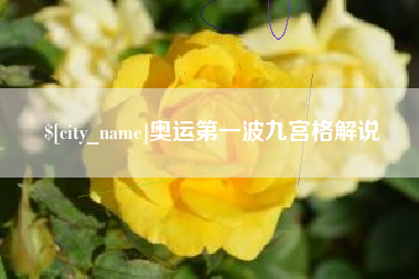 邵东奥运第一波九宫格解说