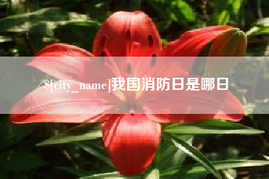 邵东我国消防日是哪日