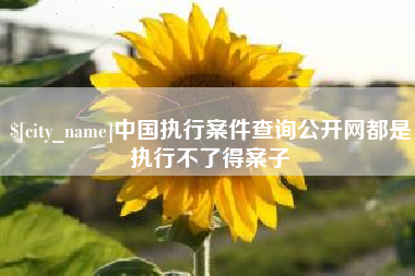 邵东中国执行案件查询公开网都是执行不了得案子
