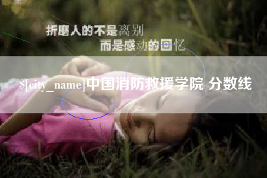 邵东中国消防救援学院 分数线