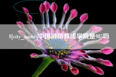邵东中国消防救援学院是985吗