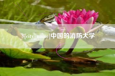 邵东中国的消防大学
