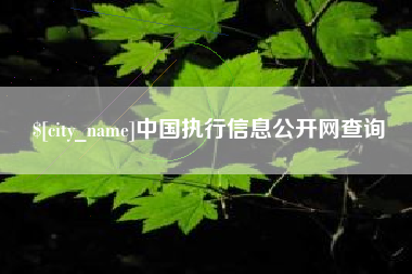 邵东中国执行信息公开网查询