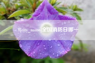 邵东全国消防日哪一