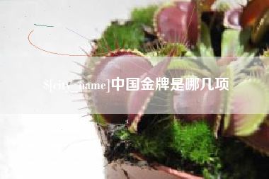邵东中国金牌是哪几项