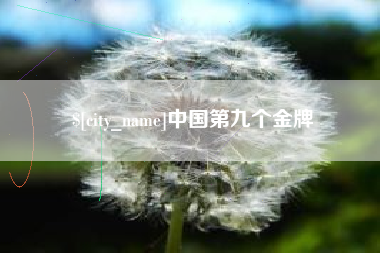 邵东中国第九个金牌