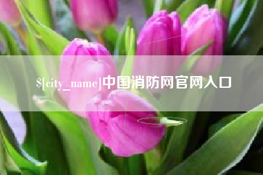 邵东中国消防网官网入口
