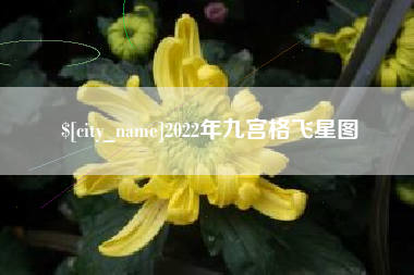 邵东2022年九宫格飞星图