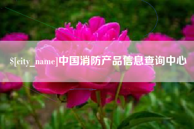 邵东中国消防产品信息查询中心