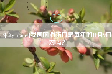 邵东我国的消防日是每年的11月9日对吗？