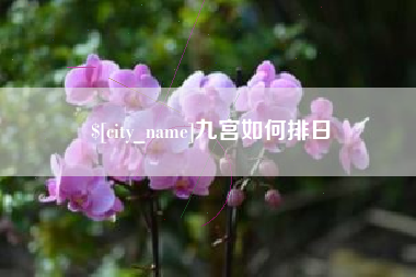 邵东九宫如何排日