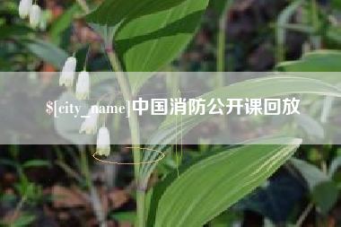 邵东中国消防公开课回放