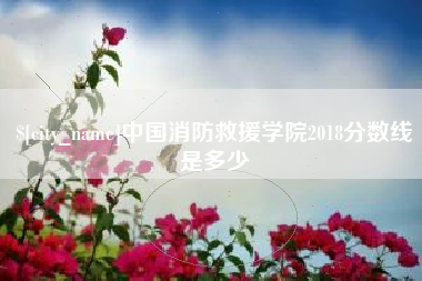 邵东中国消防救援学院2018分数线是多少