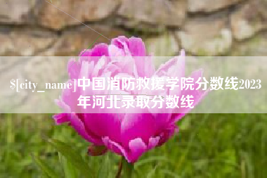 邵东中国消防救援学院分数线2023年河北录取分数线