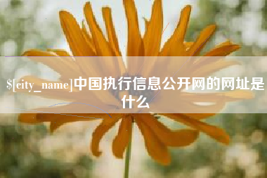 邵东中国执行信息公开网的网址是什么