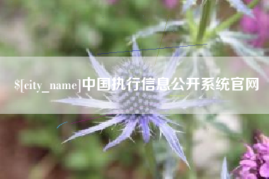 邵东中国执行信息公开系统官网