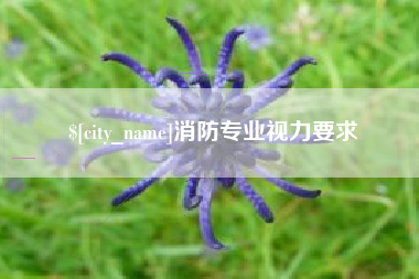 邵东消防专业视力要求