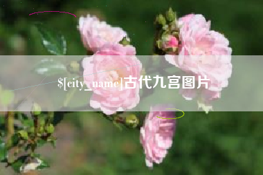 邵东古代九宫图片
