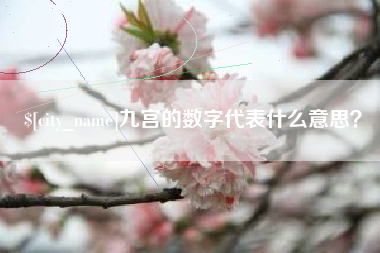 邵东九宫的数字代表什么意思？