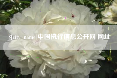 邵东中国执行信息公开网 网址
