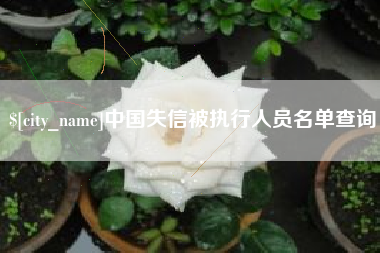 邵东中国失信被执行人员名单查询