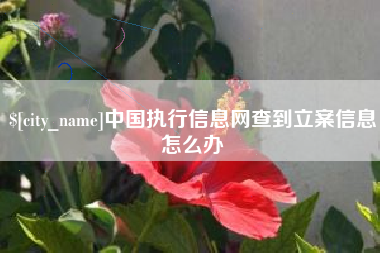 邵东中国执行信息网查到立案信息怎么办