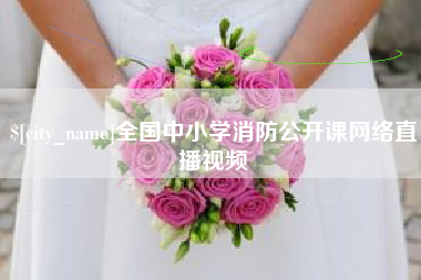 邵东全国中小学消防公开课网络直播视频