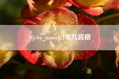 邵东21年九宫格