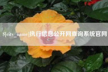 邵东执行信息公开网查询系统官网