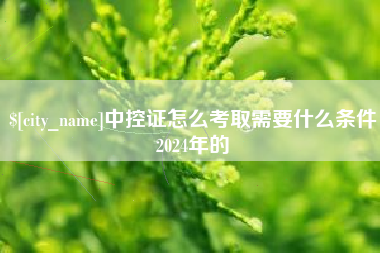 邵东中控证怎么考取需要什么条件2024年的