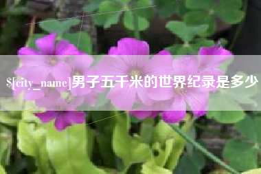 邵东男子五千米的世界纪录是多少