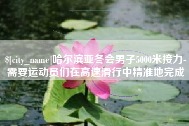 邵东哈尔滨亚冬会男子5000米接力-需要运动员们在高速滑行中精准地完成