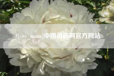 邵东中国消防网官方网站