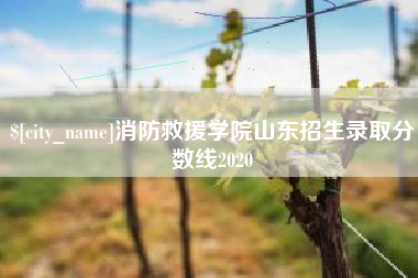 邵东消防救援学院山东招生录取分数线2020
