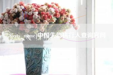 邵东中国失信执行人查询官网
