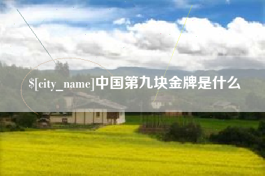邵东中国第九块金牌是什么
