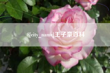 邵东王子豪百科