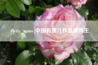邵东中国有哪几枚金牌得主