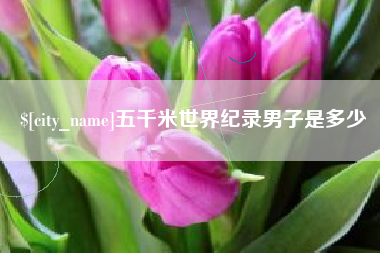 邵东五千米世界纪录男子是多少