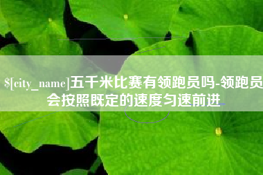 邵东五千米比赛有领跑员吗-领跑员会按照既定的速度匀速前进